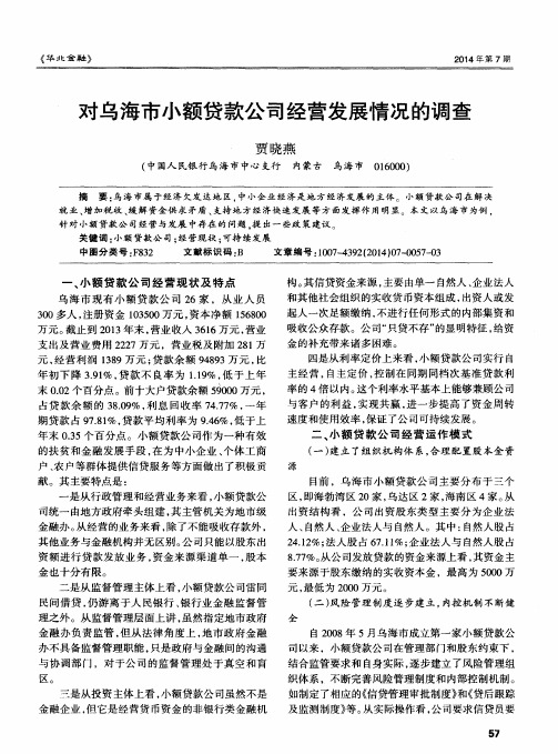 对乌海市小额贷款公司经营发展情况的调查