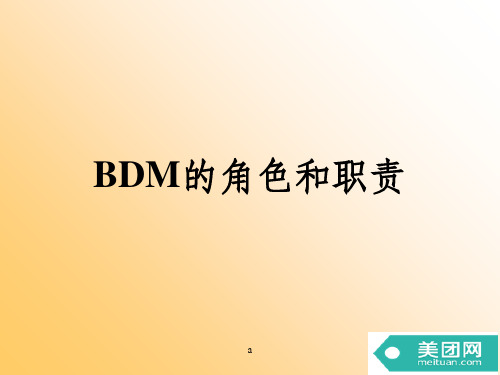 BDM的角色和职责