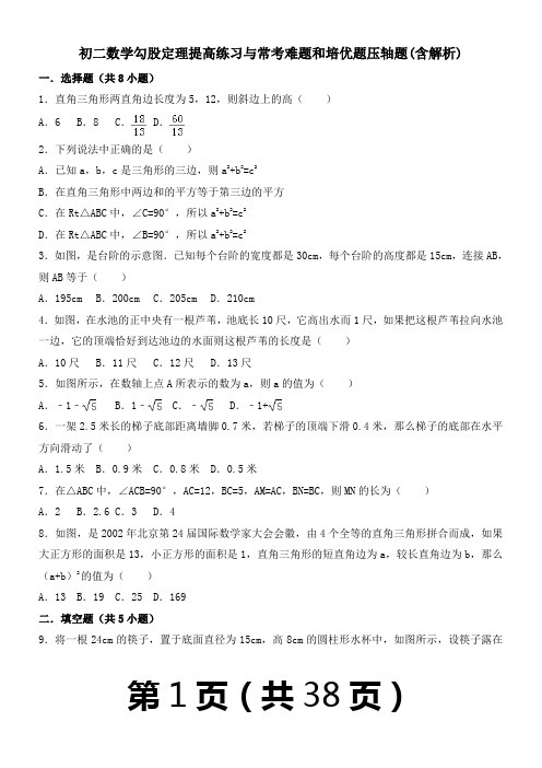 初二数学勾股定理提高练习与常考难题和培优题压轴题(含解析)-