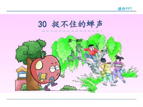 五年级下册语文课件-30 捉不住的蝉声-湘教版 (共22张PPT)