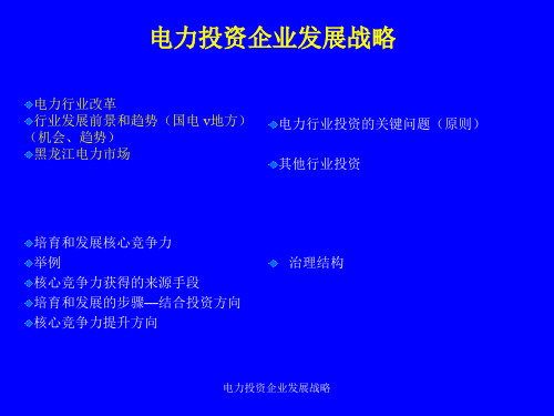 电力投资企业发展战略课件