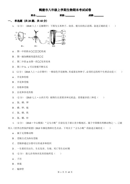 鹤壁市八年级上学期生物期末考试试卷