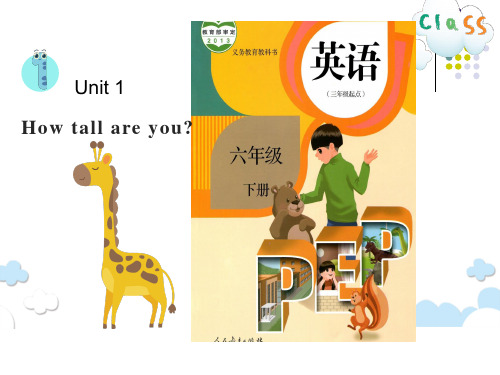 六年级下册英语(人教PEP版)Unit 1  How tall are you-课件