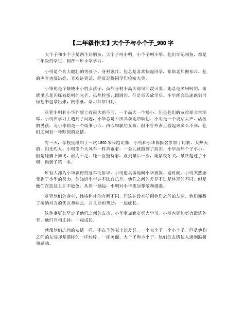 【二年级作文】大个子与小个子_900字