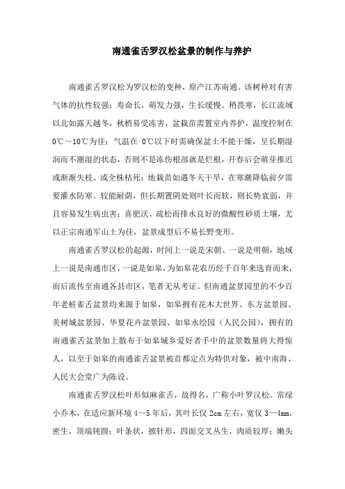 南通雀舌罗汉松盆景的制作与养护