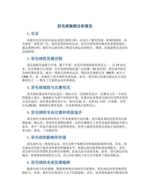 羽毛球案例分析报告