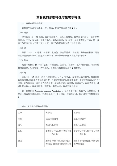 黄粉虫的形态特征与生物学特性(精)