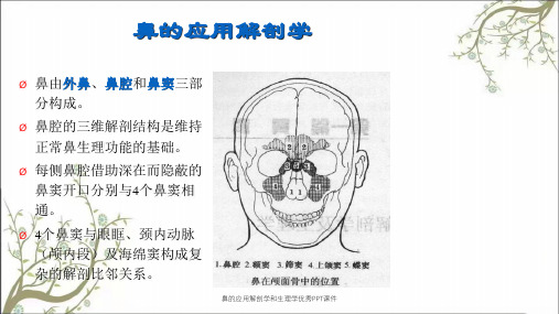 鼻的应用解剖学和生理学优秀PPT课件