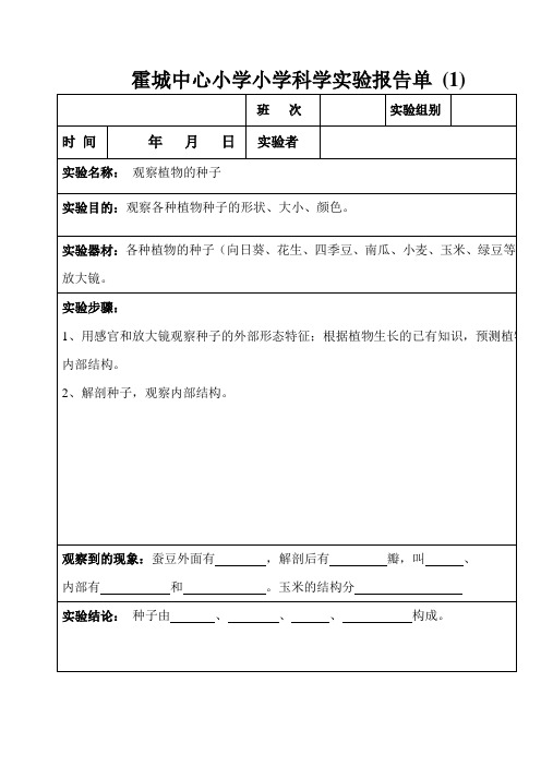 教科版三年级下册科学实验报告单