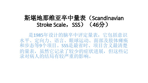 SASS卒中量表ppt课件