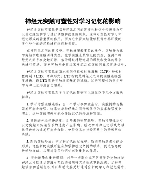 神经元突触可塑性对学习记忆的影响