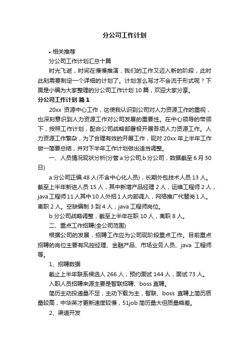 分公司工作计划