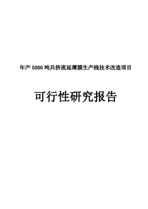 年产5000吨共挤流延薄膜生产线技术改造项目可行性研究报告