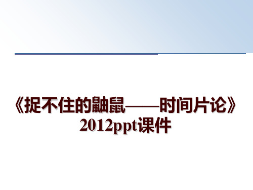 最新《捉不住的鼬鼠——时间片论》ppt课件