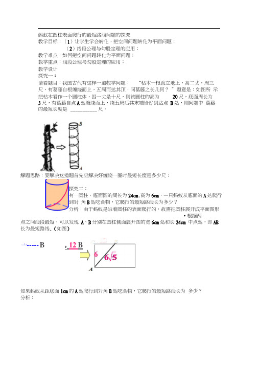 人教版初三数学上册圆柱体表面蚂蚁爬行最短路线问题探讨