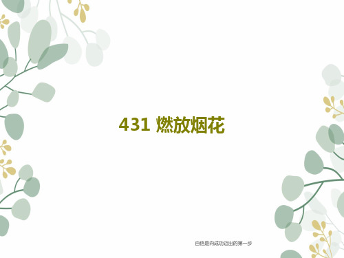 431 燃放烟花共20页