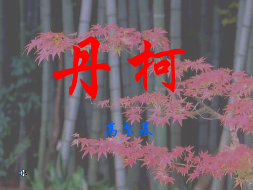 丹柯课堂使用
