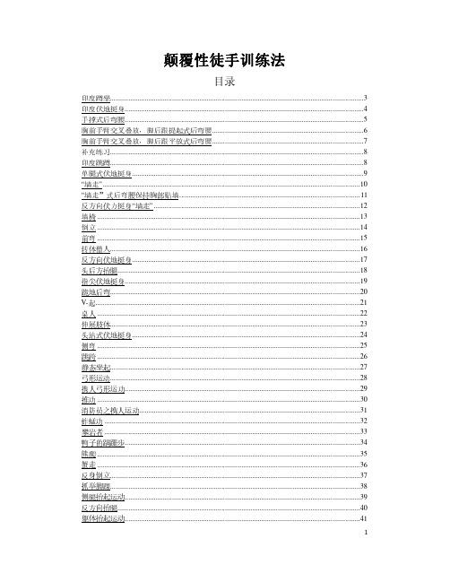 格斗体能 - 颠覆性徒手训练法