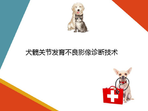 临床常见宠物疾病影像诊断技术—骨关节常见疾病影像诊断技术