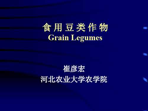 食用豆类作物GrainLegumes课件-文档资料77页