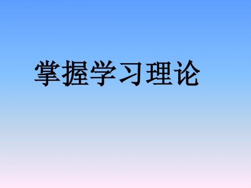 掌握学习理论