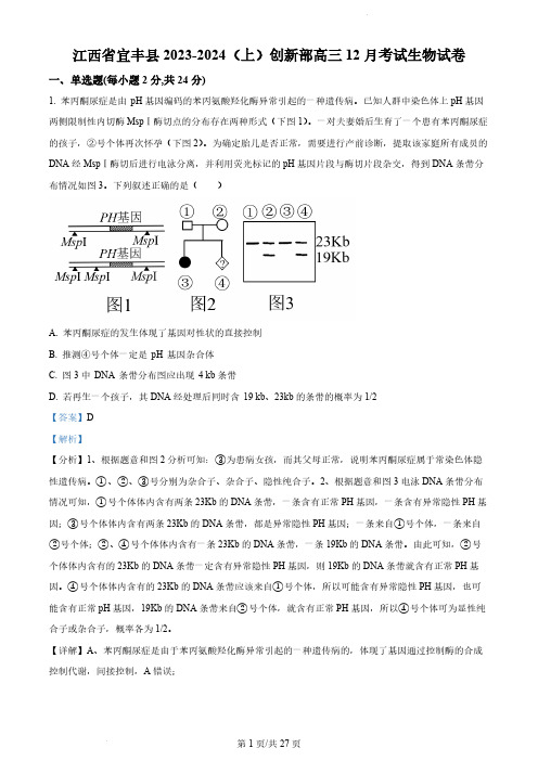 江西省宜春市宜丰县宜丰中学2023-2024学年高三12月月考生物试题(解析版)