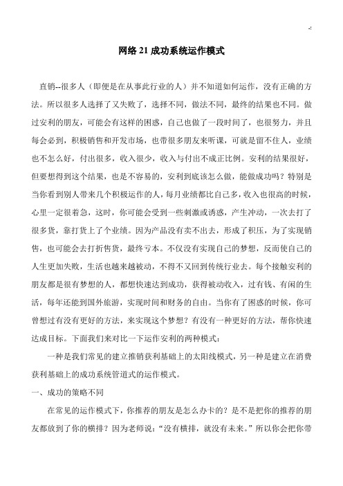 网络21成功系统运作模式