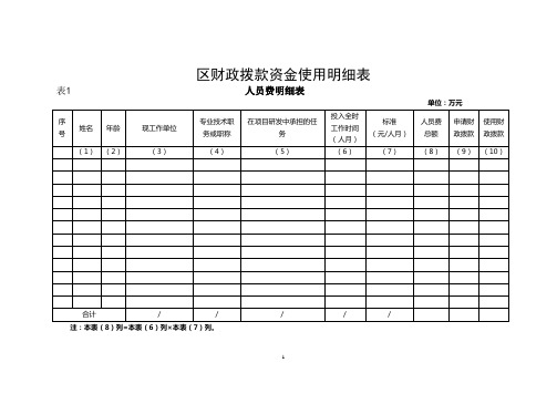 区财政拨款资金使用明细表