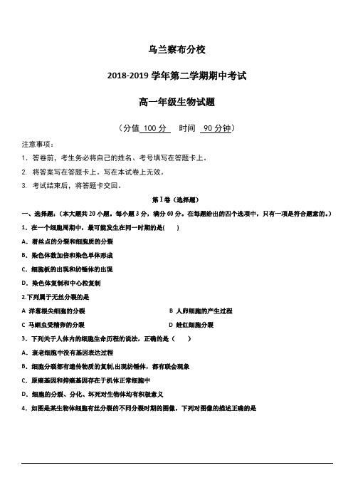 内蒙古北京八中乌兰察布分校2018-2019学年高一下学期期中考试生物试题 含答案