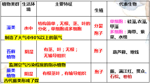 2.3.2 种子植物(课件)七年级生物上册(苏教版2024)