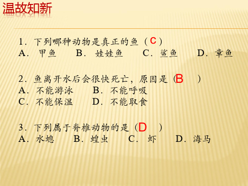 2018-2019学年八年级上(人教版)生物：5.1.5两栖动物和爬行动物(共21页)