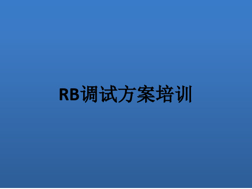 RB调试方案