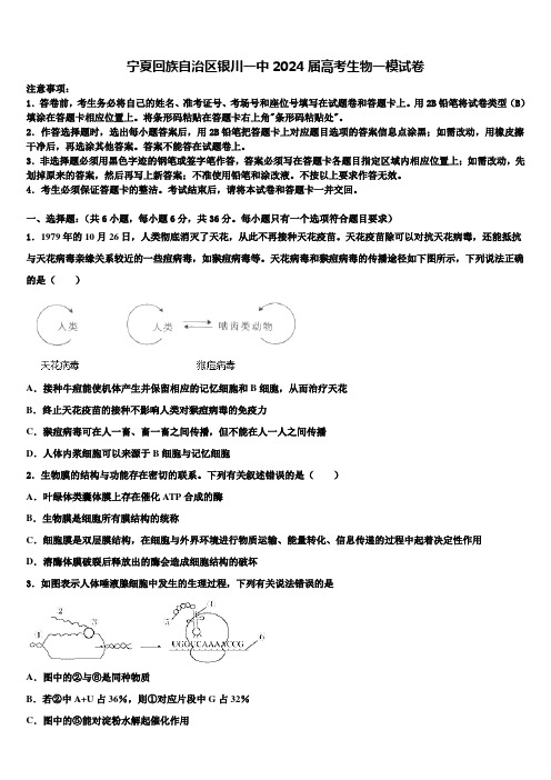 宁夏回族自治区银川一中2024届高考生物一模试卷含解析