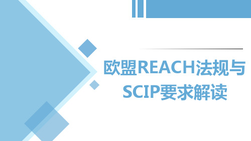 欧盟REACH法规与SCIP要求解读