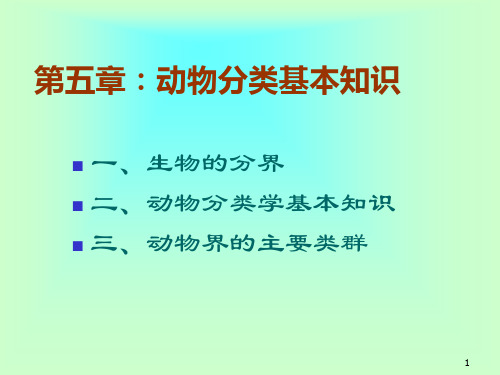 动物分类基本知识