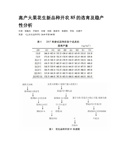 高产大果花生新品种开农85的选育及稳产性分析