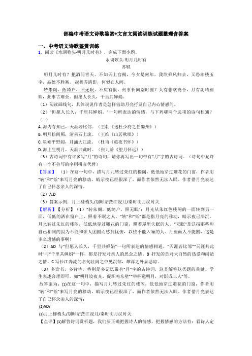 部编中考语文诗歌鉴赏+文言文阅读训练试题整理含答案 (2)