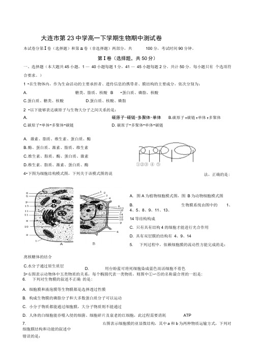 生物必修1有丝分裂(DOC)