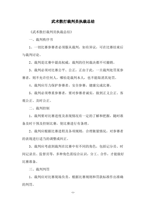 武术散打裁判员执裁总结