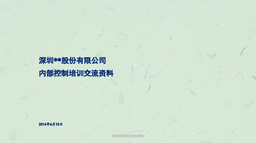 内部控制培训交流资料课件