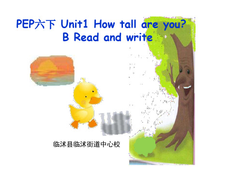 六年级下册英语课件Unit 1 How tall are you？人教版 (11)PPT