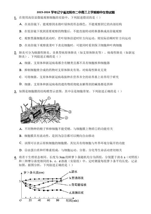 2023-2024学年辽宁省沈阳市二中高三上学期期中生物试题