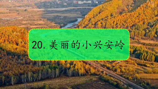 20.《美丽的小兴安岭》课件(共28张PPT).ppt