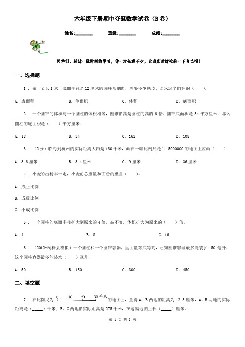 六年级下册期中夺冠数学试卷(B卷)