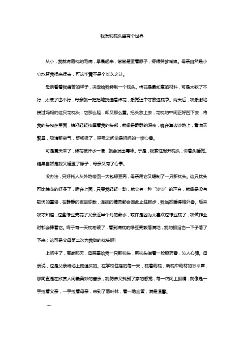 南通市中考满分作文-我发现枕头里有个世界