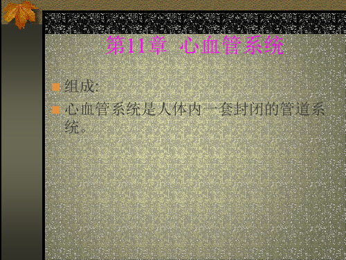 心血管系统解剖学03PPT课件