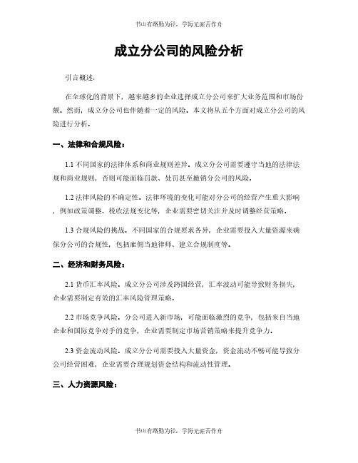 成立分公司的风险分析