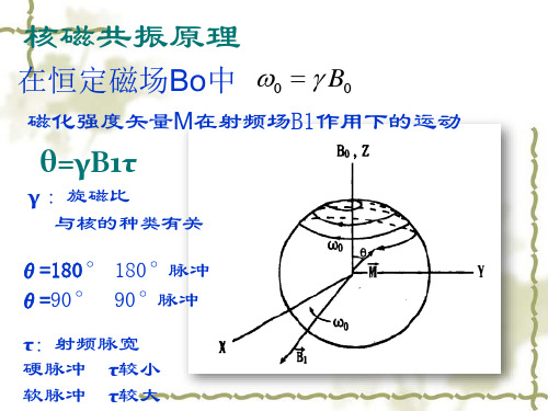 核磁共振试验中三种基本脉冲序列的特点和应用