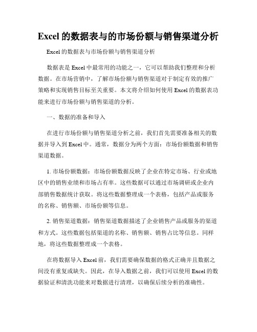 Excel的数据表与的市场份额与销售渠道分析