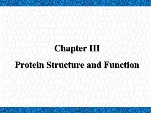 高等教学大一英语下PPT课件：Protein Structure and Function